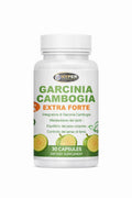 Garcinia Cambogia Forte – Lifestyle Balance Capsules – 30 Caps